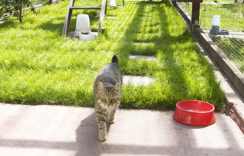 5237413_1446-Kopie 5237413_1446-Kopie